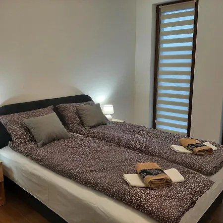 Borovi 24 *