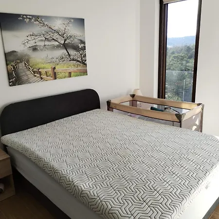 Apartment Borovi 24