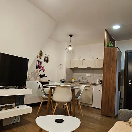 Apartment Borovi 24