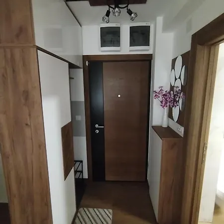 Borovi 24 Divcibare