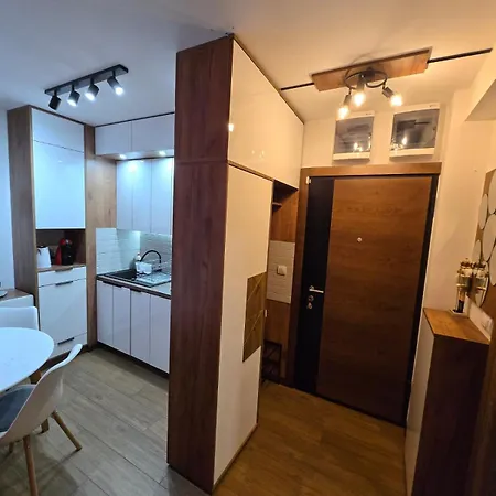 Borovi 24 *