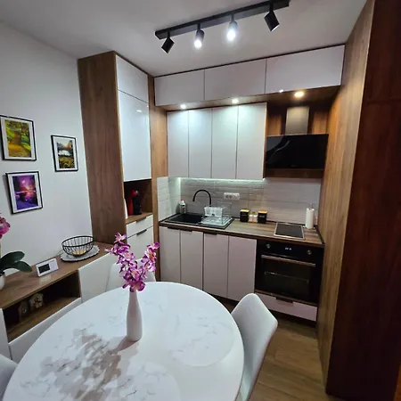 Apartmán Borovi 24 *