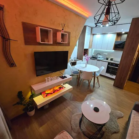 Apartment Borovi 24