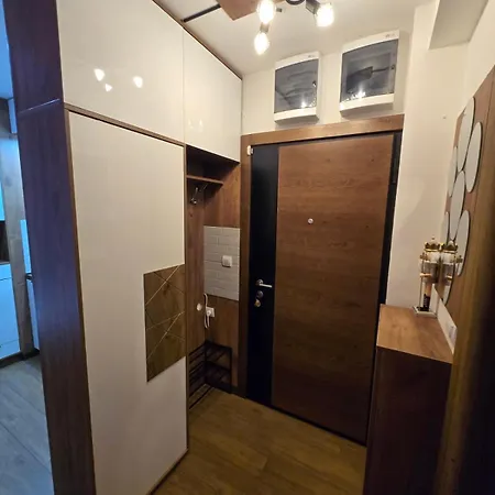 Borovi 24 *