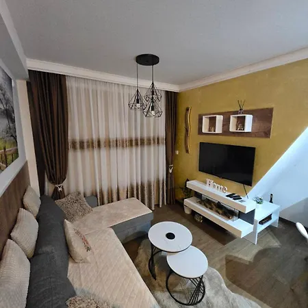 Apartment Borovi 24